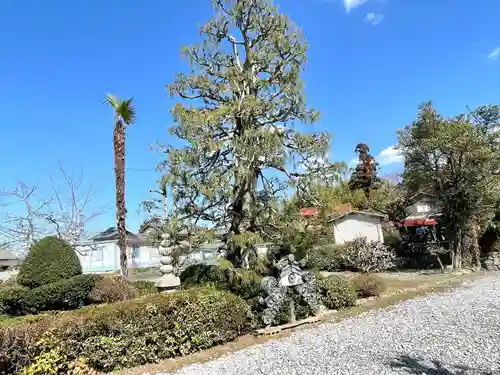 善福寺(滋賀県)