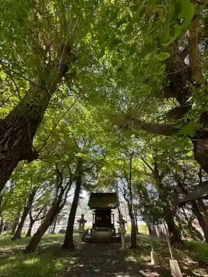 桂川神社(山梨県)
