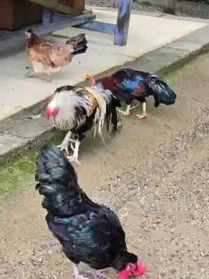 石上神宮(奈良県)