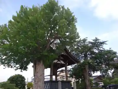 専徳寺(青森県)
