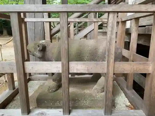 八坂神社の狛犬