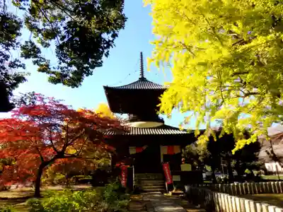 鑁阿寺のその他建物