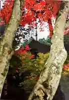 金剛輪寺のその他建物