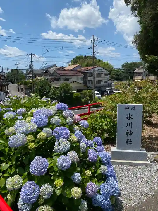 柳崎氷川神社(埼玉県)