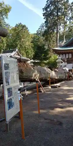 賀茂神社の自然