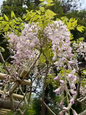歌泉堂（春日大社神苑萬葉植物園内鎮座）(奈良県)