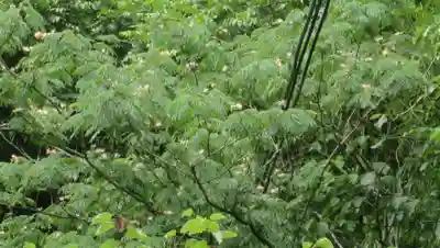 高館義経堂(岩手県)