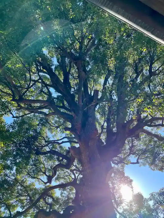 西福寺(千葉県)