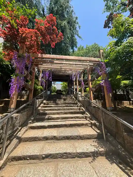 法輪寺の{uncategorized: "未分類", other: "その他", undefined: "問題あり", building: "その他建物", grave: "お墓", sacred_gate: "鳥居", guardian: "狛犬", statue: "像", buddha: "仏像", history: "歴史", nature: "自然", garden: "庭園", animal: "動物", pagoda: "塔", temizu: "手水舎", mountain_gate: "山門・神門", sanctuary: "本殿・本堂", subordinate: "末社・摂社", art: "芸術", scenery: "景色", jizo: "地蔵", ema: "絵馬", goshuin: "御朱印", omikuji: "おみくじ", items: "授与品その他", amulet: "お守り", goshuincho: "御朱印帳", eats: "食事", festival: "お祭り", votive_dance: "神楽", shichigosan: "七五三参", wedding: "結婚式", experience: "体験その他", initially: "初詣", around: "周辺", anti_infection: "感染症対策"}