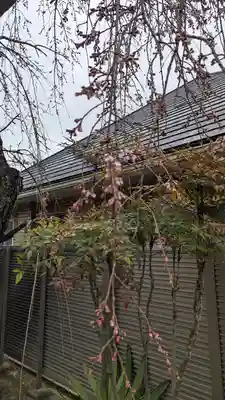 琳聖寺(京都府)