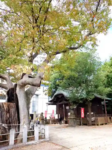 阿邪訶根神社(福島県)