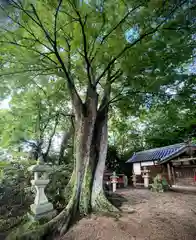 春日神社(奈良県)