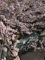 密藏院の{uncategorized: "未分類", other: "その他", undefined: "問題あり", building: "その他建物", grave: "お墓", sacred_gate: "鳥居", guardian: "狛犬", statue: "像", buddha: "仏像", history: "歴史", nature: "自然", garden: "庭園", animal: "動物", pagoda: "塔", temizu: "手水舎", mountain_gate: "山門・神門", sanctuary: "本殿・本堂", subordinate: "末社・摂社", art: "芸術", scenery: "景色", jizo: "地蔵", ema: "絵馬", goshuin: "御朱印", omikuji: "おみくじ", items: "授与品その他", amulet: "お守り", goshuincho: "御朱印帳", eats: "食事", festival: "お祭り", votive_dance: "神楽", shichigosan: "七五三参", wedding: "結婚式", experience: "体験その他", initially: "初詣", around: "周辺", anti_infection: "感染症対策"}