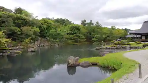 天龍寺の景色