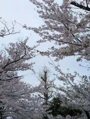 諏訪神社(東京都)
