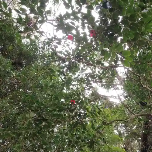 雙宮神社の自然