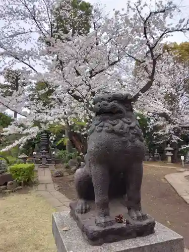 観音寺（世田谷山観音寺）(東京都)