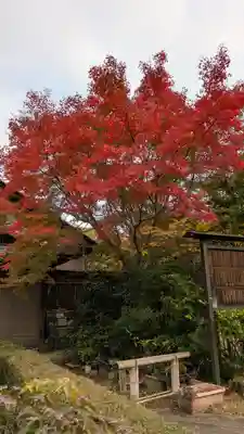 神應寺(京都府)