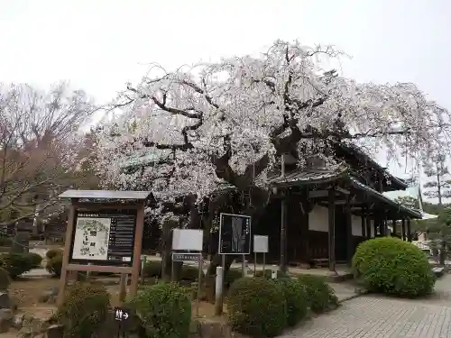豪徳寺のその他建物