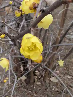寳幢院(東京都)