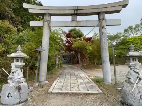 日吉神社の鳥居