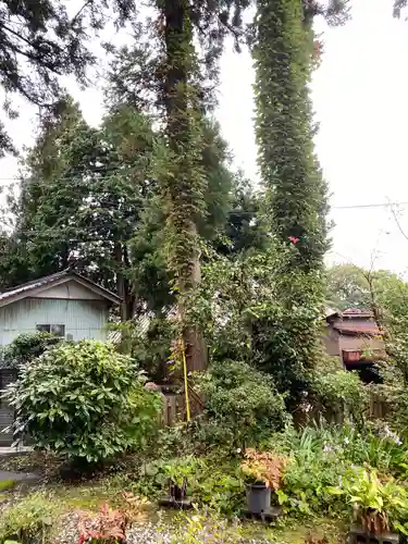 龍頭寺の庭園