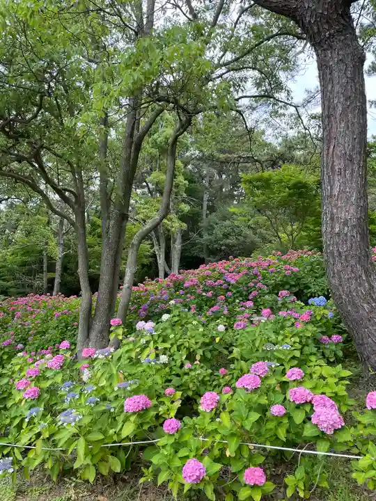 住吉神社の自然