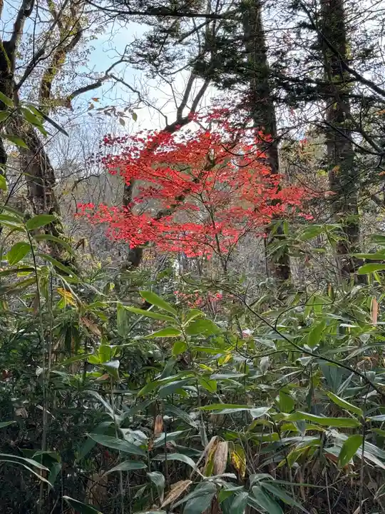 戸隠神社九頭龍社(長野県)
