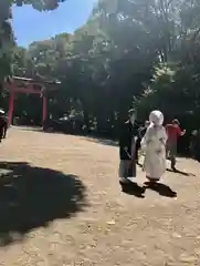 賀茂御祖神社（下鴨神社）の結婚式