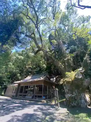 水神社(福岡県)