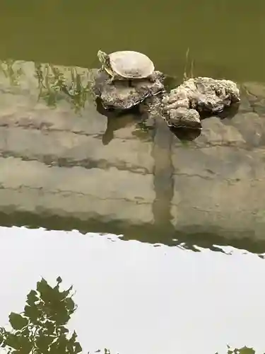 磐井神社(東京都)
