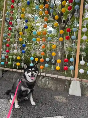 宝徳寺の{uncategorized: "未分類", other: "その他", undefined: "問題あり", building: "その他建物", grave: "お墓", sacred_gate: "鳥居", guardian: "狛犬", statue: "像", buddha: "仏像", history: "歴史", nature: "自然", garden: "庭園", animal: "動物", pagoda: "塔", temizu: "手水舎", mountain_gate: "山門・神門", sanctuary: "本殿・本堂", subordinate: "末社・摂社", art: "芸術", scenery: "景色", jizo: "地蔵", ema: "絵馬", goshuin: "御朱印", omikuji: "おみくじ", items: "授与品その他", amulet: "お守り", goshuincho: "御朱印帳", eats: "食事", festival: "お祭り", votive_dance: "神楽", shichigosan: "七五三参", wedding: "結婚式", experience: "体験その他", initially: "初詣", around: "周辺", anti_infection: "感染症対策"}