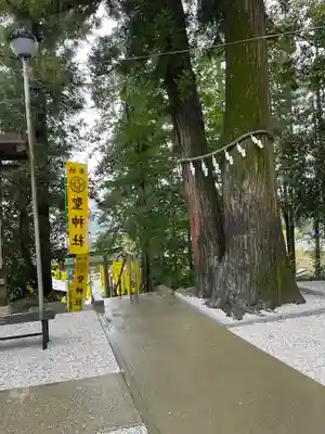 聖神社(埼玉県)