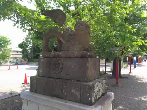 鷲宮神社の狛犬