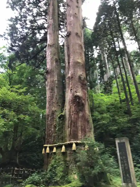 御岩神社の自然