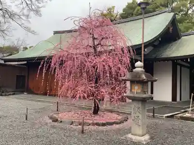 城南宮(京都府)
