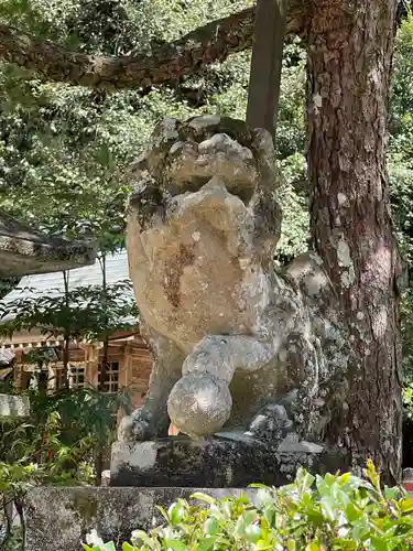 鷺森神社の狛犬