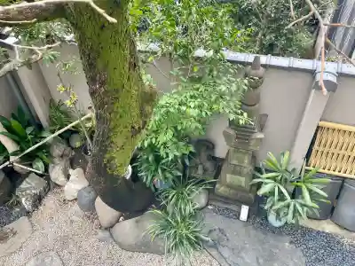 専行寺の{uncategorized: "未分類", other: "その他", undefined: "問題あり", building: "その他建物", grave: "お墓", sacred_gate: "鳥居", guardian: "狛犬", statue: "像", buddha: "仏像", history: "歴史", nature: "自然", garden: "庭園", animal: "動物", pagoda: "塔", temizu: "手水舎", mountain_gate: "山門・神門", sanctuary: "本殿・本堂", subordinate: "末社・摂社", art: "芸術", scenery: "景色", jizo: "地蔵", ema: "絵馬", goshuin: "御朱印", omikuji: "おみくじ", items: "授与品その他", amulet: "お守り", goshuincho: "御朱印帳", eats: "食事", festival: "お祭り", votive_dance: "神楽", shichigosan: "七五三参", wedding: "結婚式", experience: "体験その他", initially: "初詣", around: "周辺", anti_infection: "感染症対策"}