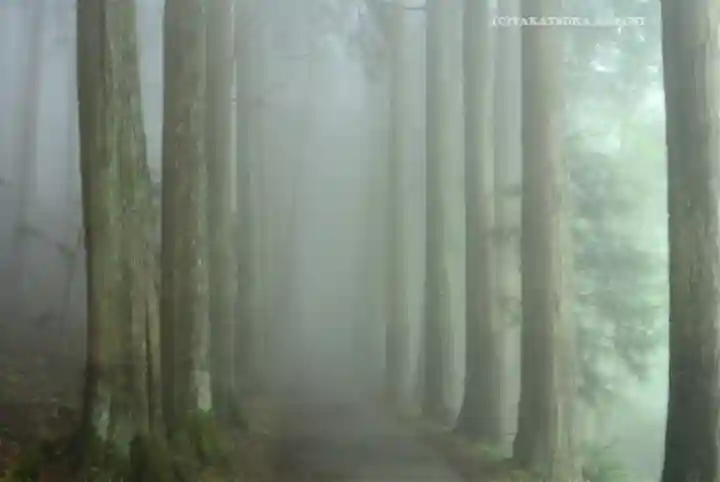 三峯神社(埼玉県)
