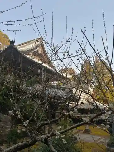 正福寺の自然