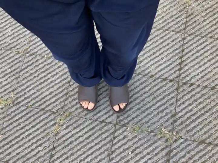 蓮久寺(千葉県)