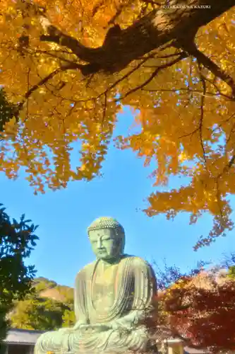 高徳院(神奈川県)