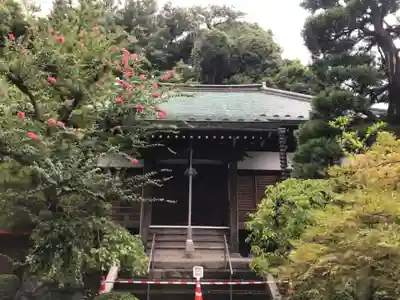 遍照寺の本殿・本堂