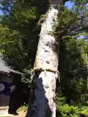 高雄神社(福井県)