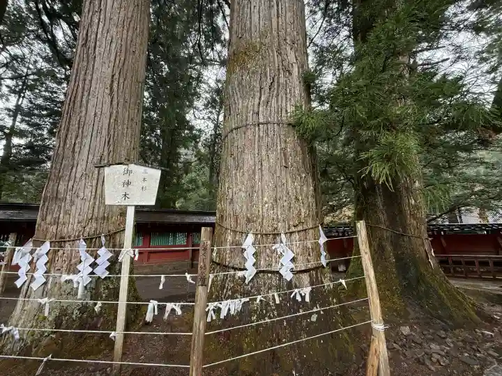 日光二荒山神社(栃木県)