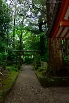 鹿島神宮(茨城県)