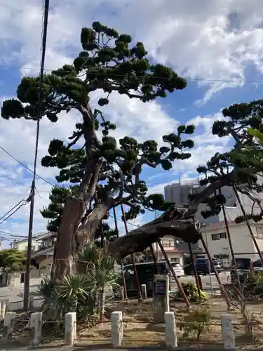妙法寺(神奈川県)