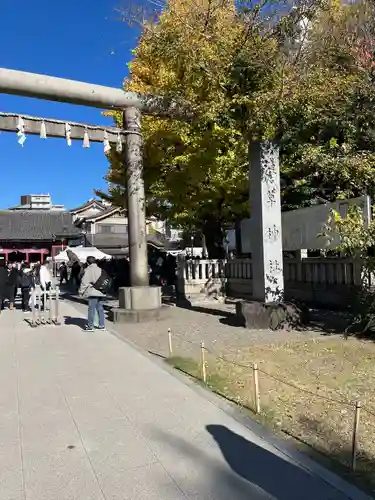 浅草神社の鳥居