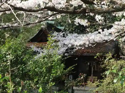 宗像神社の自然
