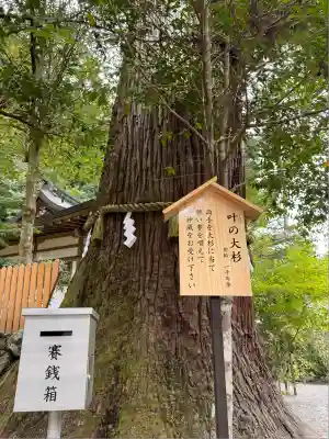 丹生川上神社（中社）(奈良県)